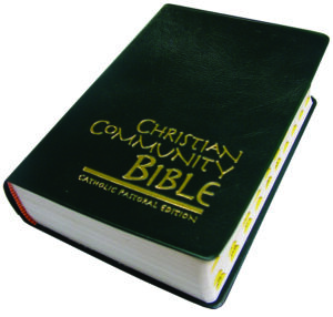 redcoms.org bibles and scriptures bible soft cover